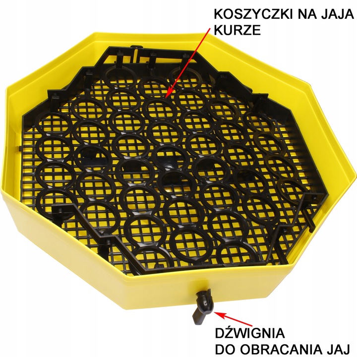 INKUBATOR 60 JAJ WYLĘGARKA KLUJNIK TERMOMETR HIGROMETR CLEO 5 DTHE