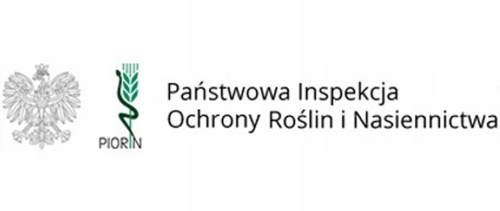 Grusza KOLUMNOWA KLAPSA FAWORYTKA – klasyczny smak w kompaktowej