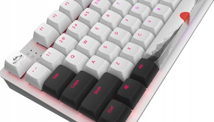 Klawiatura DARK PROJECT DPO87 Fuji