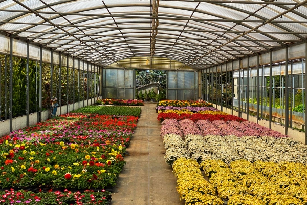 Bio ActiW AGRO ECA 5L dezynfekcja szklarni, wody, owoców, gleby,