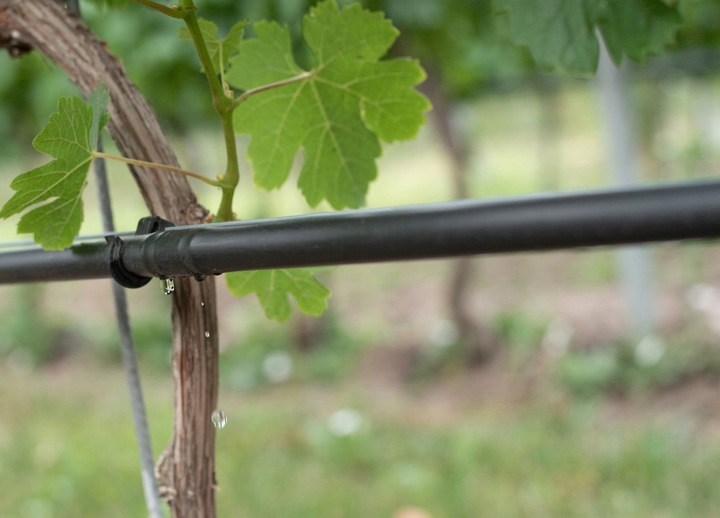 10x KOREK LINIA KROPLUJĄCA NAWODNIENIE KROPELKOWE