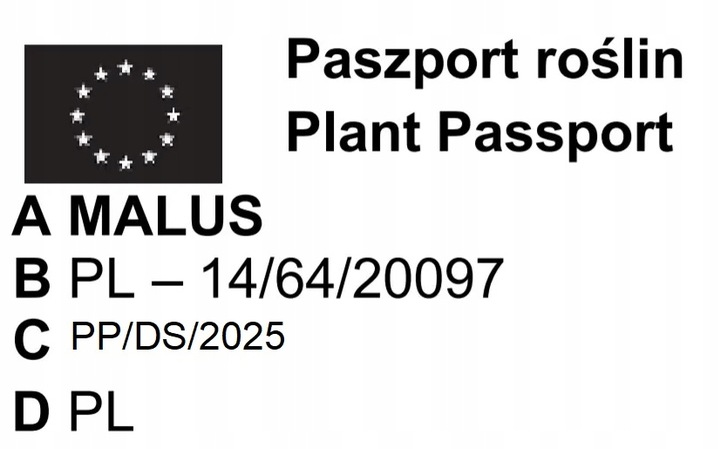 JABŁOŃ GRUSZA CZEREŚNIA WIŚNIA BRZOSKWINIA MORELA KOLUMNOWE PAKIET 6