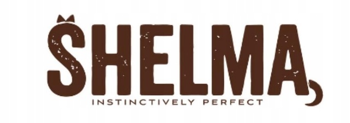 MOKRA KARMA DLA KOTA SHELMA MEGA BOX 40X85G FILECIKI MIX 4 SMAKÓW BEZ