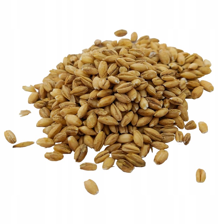 Kasza PĘCZAK JĘCZMIENNA 25kg worek