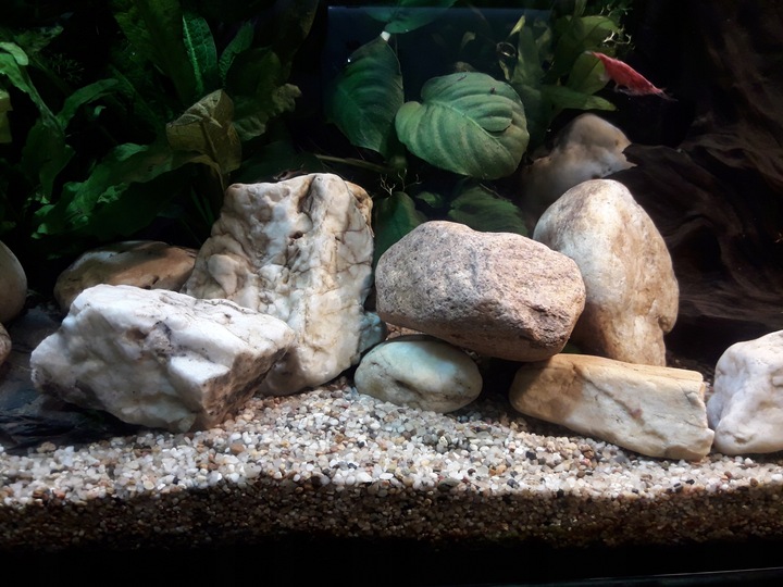 NATURALNY ŻWIREK 1-4 mm 25 kg AKWARIUM