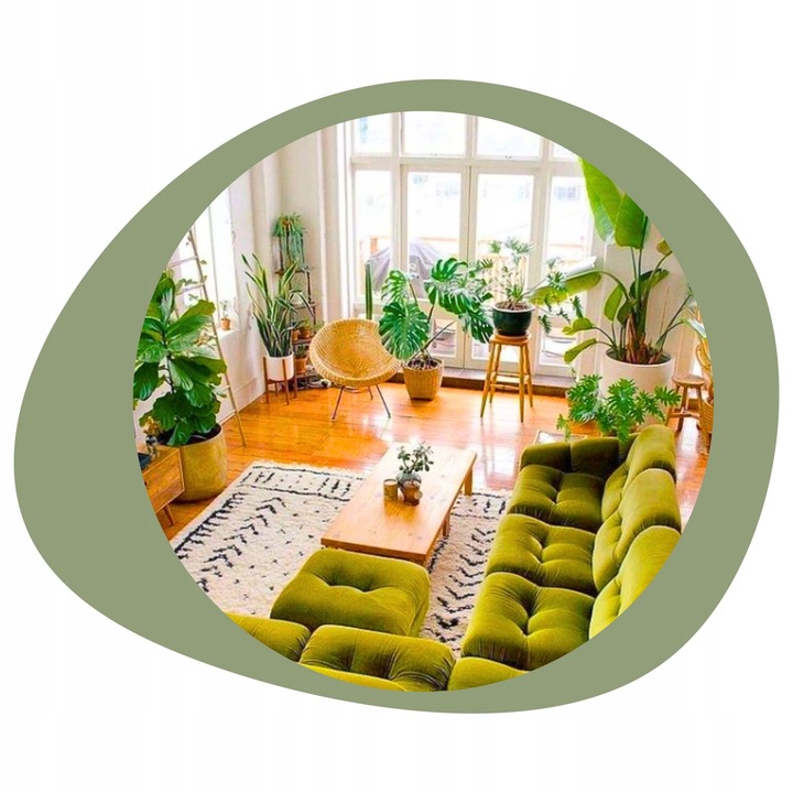 Podłoże BIGOS Lekka Ziemia do kwiatów roślin zielonych 5L Mieszanka