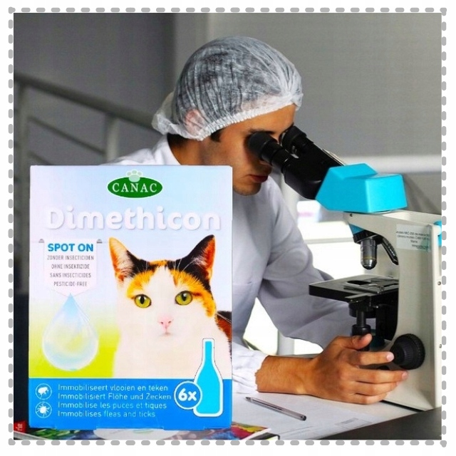 PREPARAT PRZECIW PCHŁOM I KLESZCZOM DLA KOTÓW NA KROPLE PCHŁY I KLESZCZE