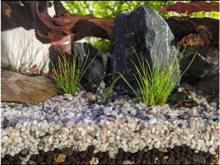 15 kg SZARY PIASEK KWARCOWY DO AKWARIUM 0,6-1,2mm