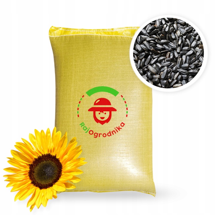 SŁONECZNIK CZARNY PREMIUM Drobny DLA PTAKÓW I NA POPLON ziarno 20KG