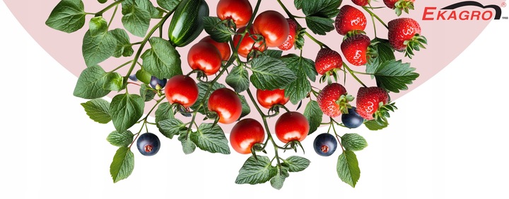 Naturalny Kompost Ekologiczny od Dżdżownic