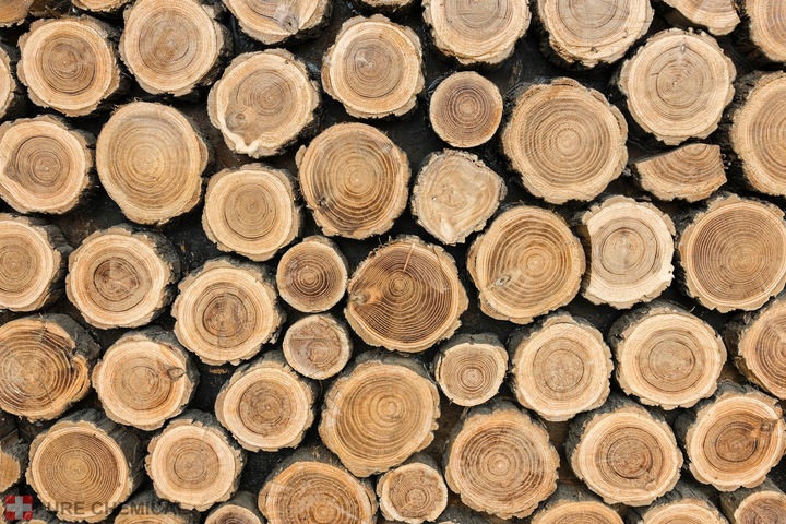 PODCHLORYN SODU 15% CHLOR W PŁYNIE DO WODY DO DREWNA 5L