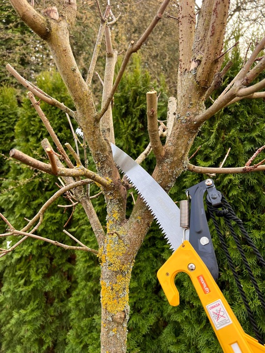 PIŁA TELESKOPOWA Z SEKATOREM NA TRZONKU 3,75m 375cm DO GAŁĘZI 2w1