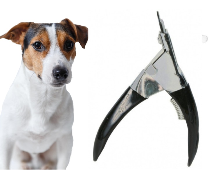 Obcinacz Gilotynka do pazurów