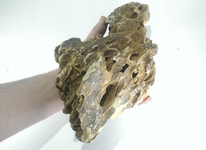Dragon stone L (2-4 kg)