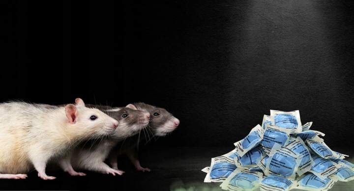 RATIMOR Trutka na szczury i myszy pasta - Trucizna Brodifakum 29ppm