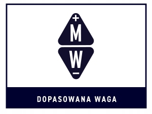 RED DRAGON Javelin 22g - Profesjonalny Zestaw 3 Wolframowych Rzutek