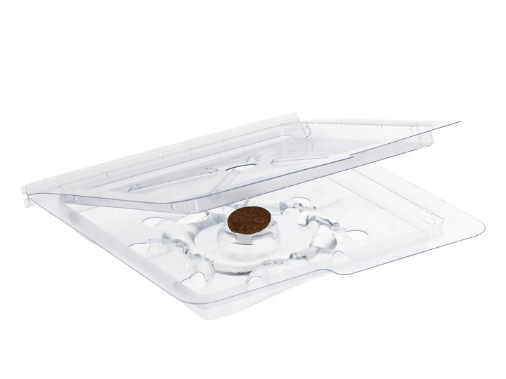 PUŁAPKA LEP NA RYBIKI CUKROWE SREBRZYKI SILNY ATRAKTANT 4 SZTUKI NO