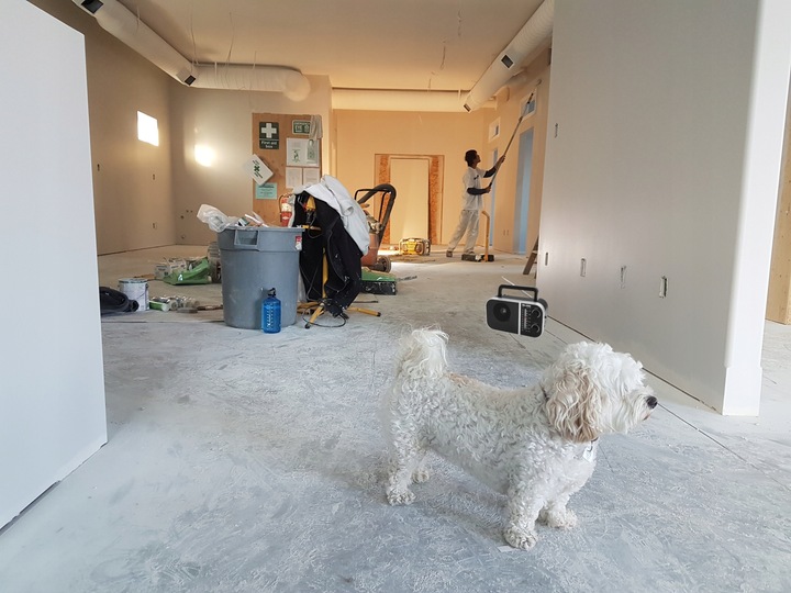 RADIO BUDOWLANE KUCHENNE 230V BLUETOOTH PRZENOŚNE ANTENA USB SD NA BATERIE