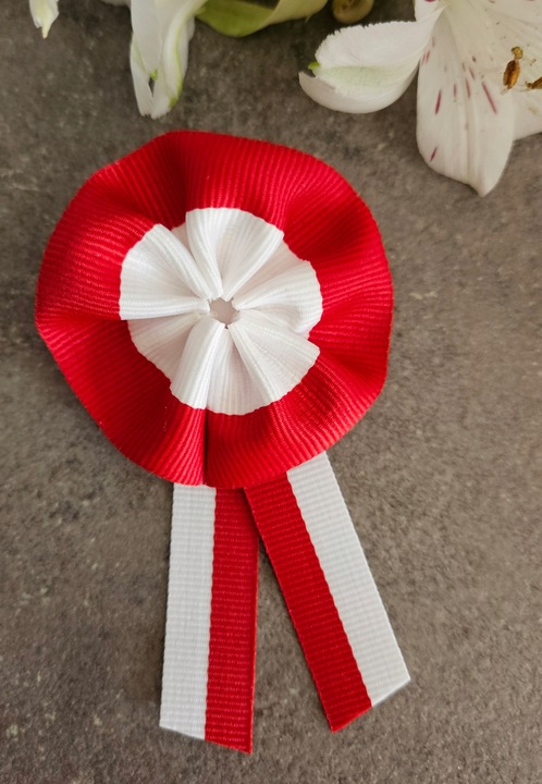 Kotyliony narodowe rozetka 2 patriotyczne 11 listopada przypinki 4 szt