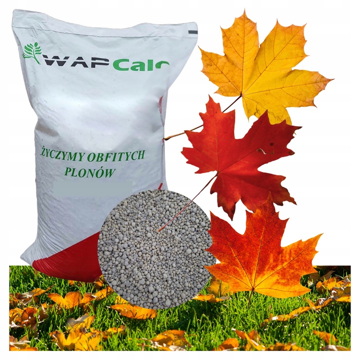 Nawóz Jesienny do Trawników Trawy Wieloskładnikowy 24 kg WapCalc