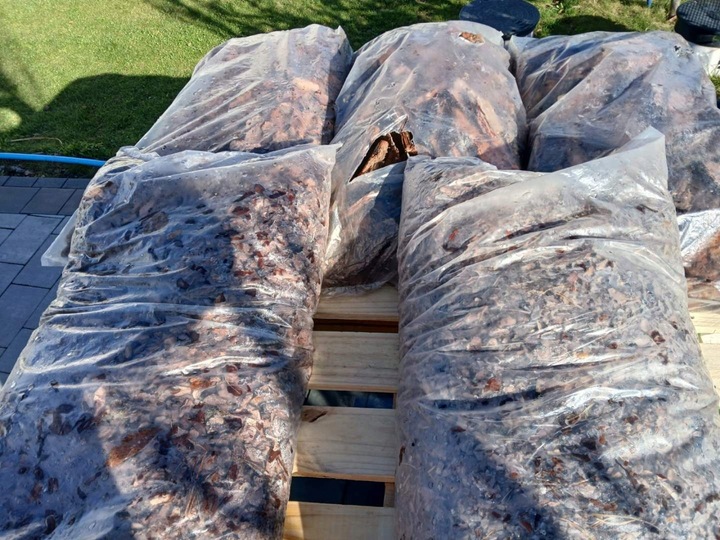 KORA SOSNOWA 80-130mm 8-13cm PREMIUM SORTOWANA MEGA GRUBA 50L