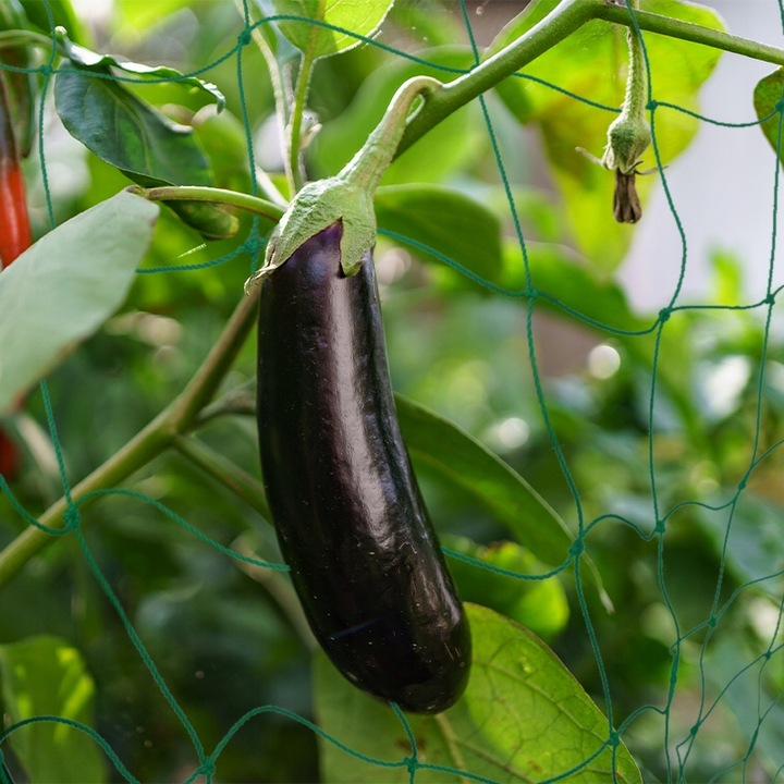 Podpora z siatką do ogórków i pomidorów 180 cm - Stelaż do roślin pnących