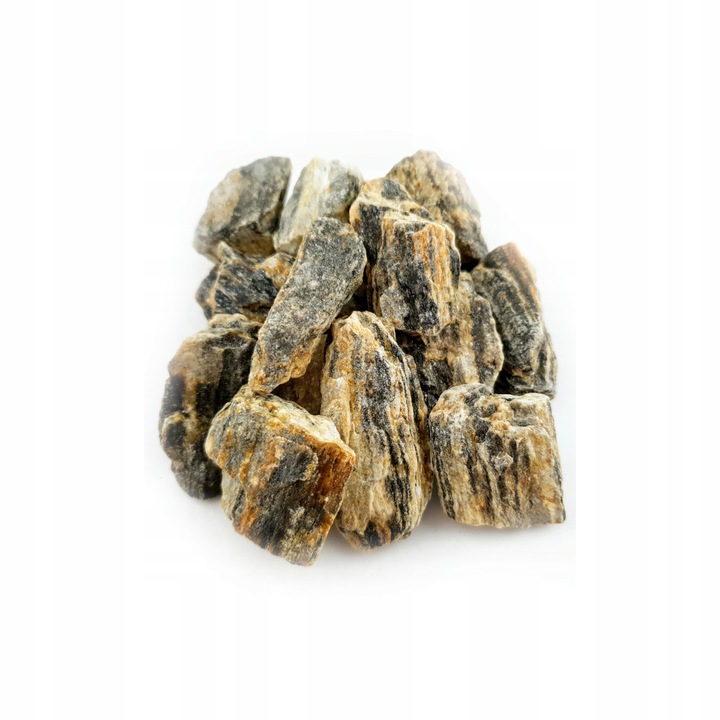 ZESTAW STARTOWY do las w słoiku MIKROKLIMAT