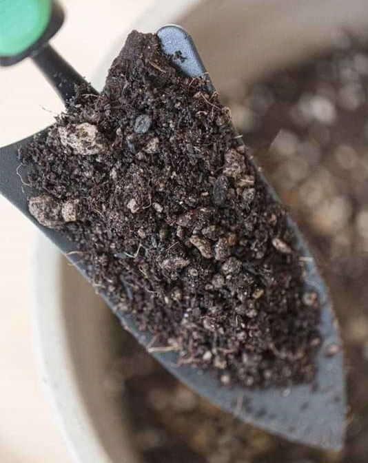 10L BIO Podłoże Ziemia do Kwiatów Monstera Bigos