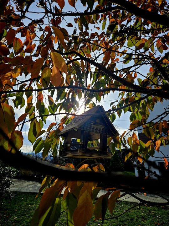 Drewniany KARMNIK XXL DLA PTAKÓW Solidny karmik opalane drewno