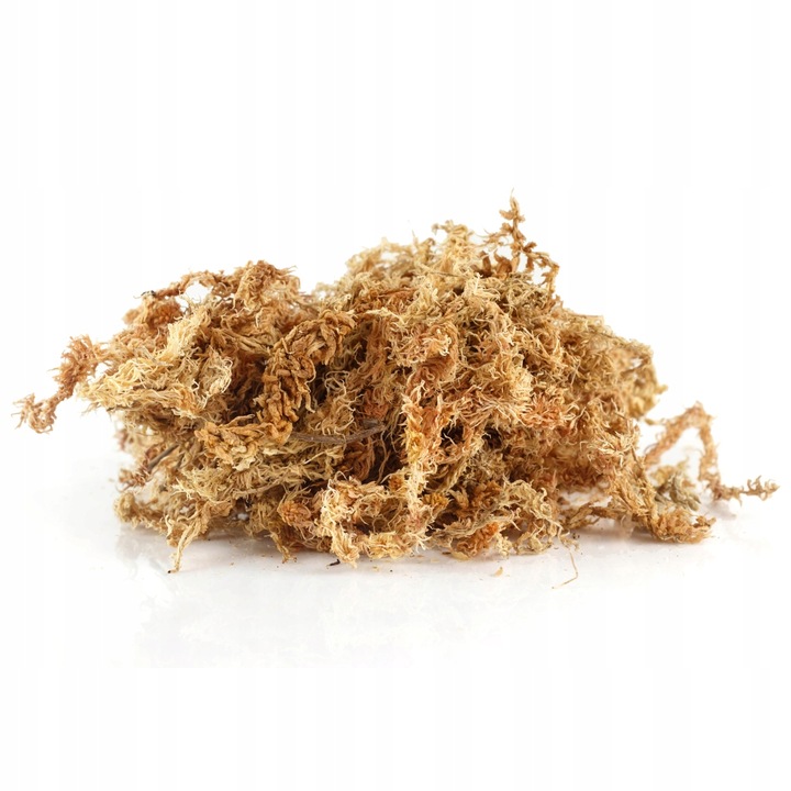 Mech Sphagnum 8L Besgrow Spagmoss Classic torfowiec 100G podłoże pH