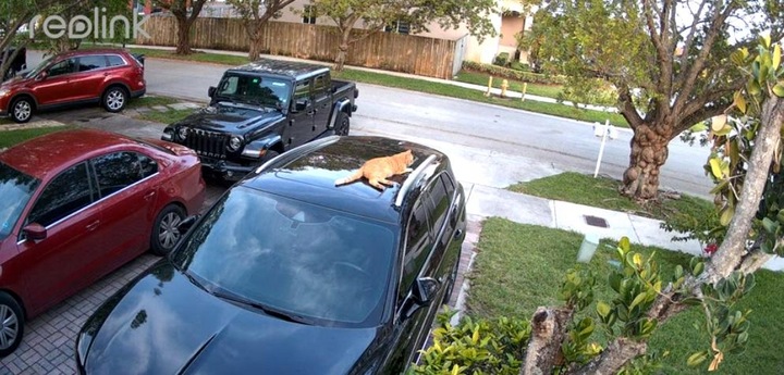 Reolink 4MP Zewnętrzna Kamera IP Wifi detekcja powiadomienia Lumus