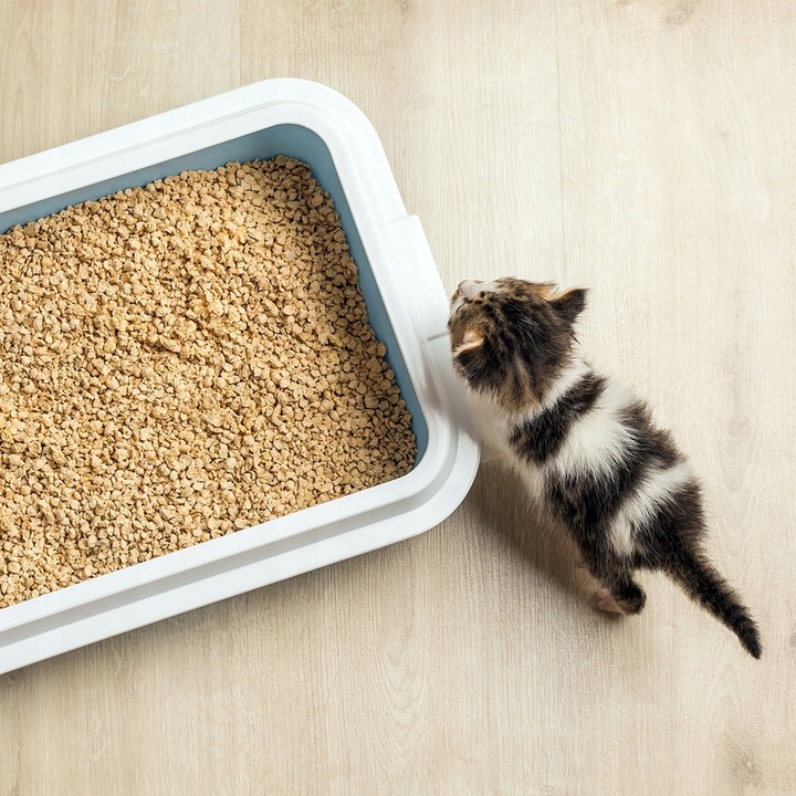 Cats Best Oryginal Żwirek dla kota EKOLOGICZNY Drewniany Zbrylający 12L