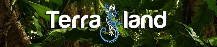 Podłoże dla żółwia greckiego stepowego do terrarium Testudo Soil Baby 25 L