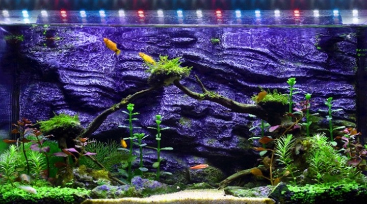 Świetlówka LED oświetlenie AKWARIUM 8520 50cm