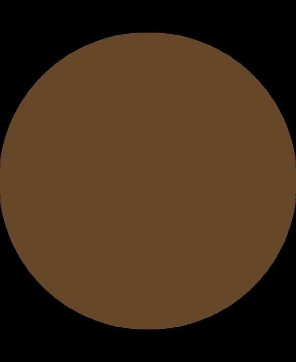 Stars from the Stars Pisak do Piegów