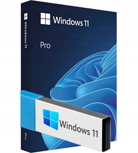Program MICROSOFT Windows 11 Professional Box