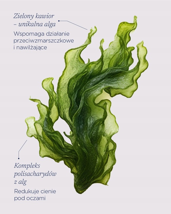 Przeciwzmarszczkowy krem pod oczy ALGOEYE