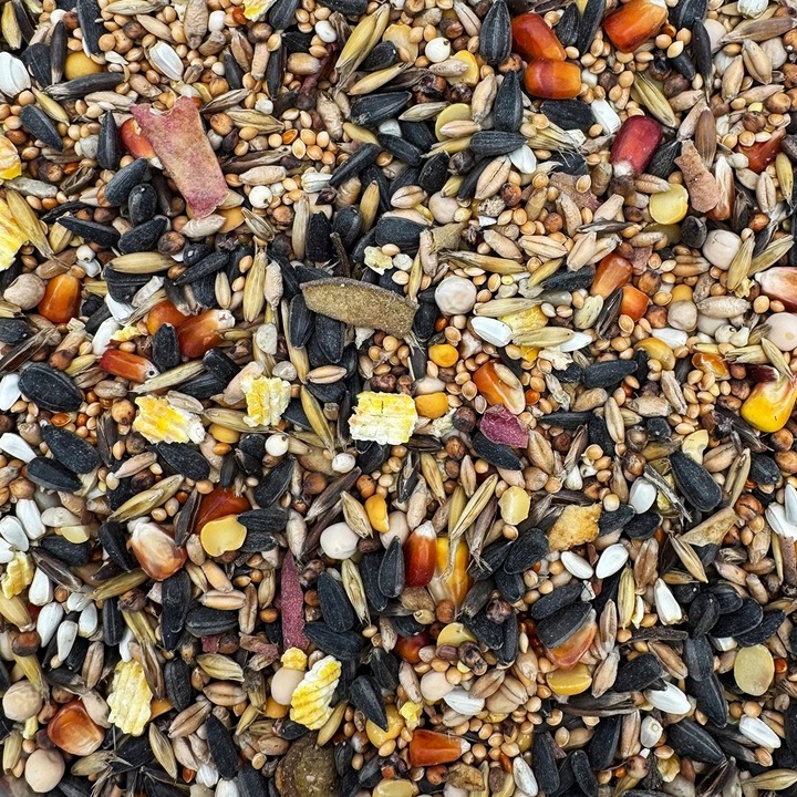 KARMA DLA PAPUG ŚREDNICH 5kg papugi NIMFA ROZELLA pokarm STANDARD Champi