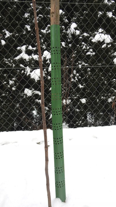 OSŁONKA NA DRZEWKA OPASKA NA PIEŃ 100cm ! 10 szt