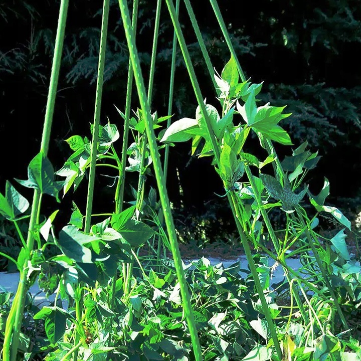 Podpora z siatką do ogórków i pomidorów 180 cm - Stelaż do roślin pnących