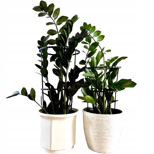 Podpórki do roślin kwiatów podpora pierścieniowa podpórka RINGS S33cm 16/18