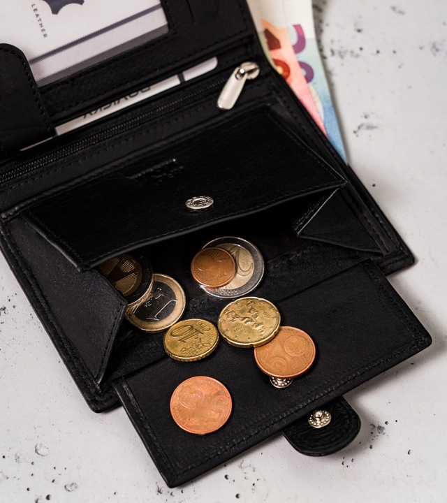 Always Wild męski portfel skórzany z ochroną kart