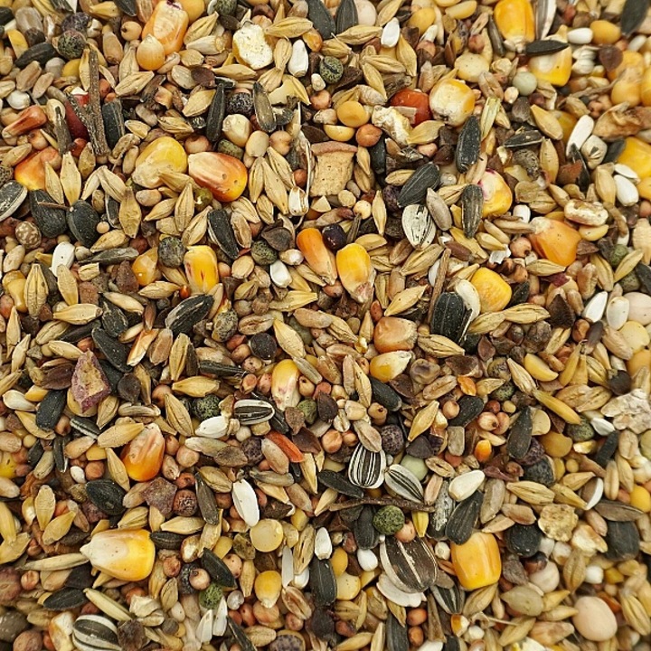 14kg Uniwersalna karma dla ptaków ziarno pokarm zimowy karmnik Champi