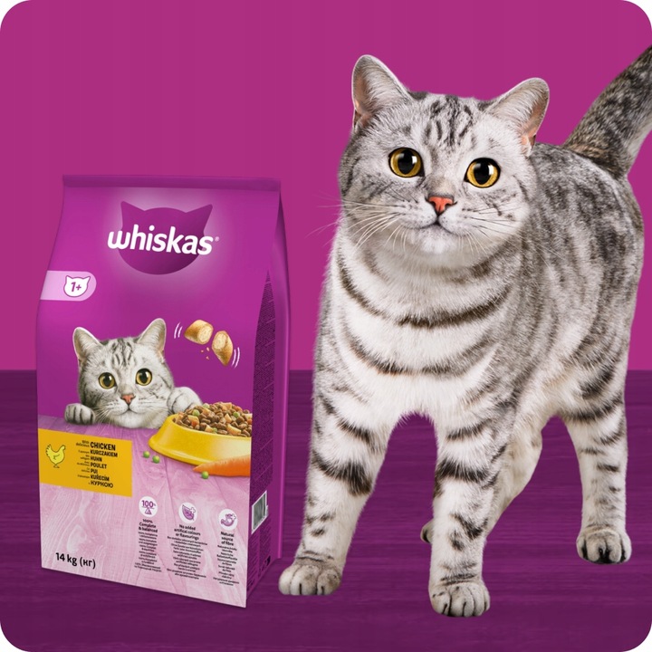 SUCHA KARMA WHISKAS ADULT DLA KOTA Z PYSZNYM KURCZAKIEM 14KG