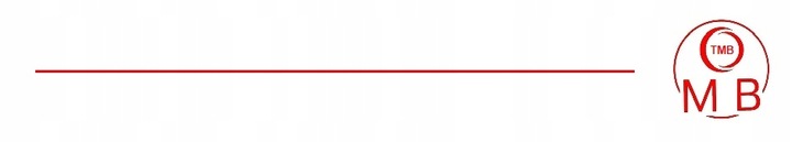 Letni płyn do spryskiwaczy TMB 20L cytrusowy | 4x5L bez smug