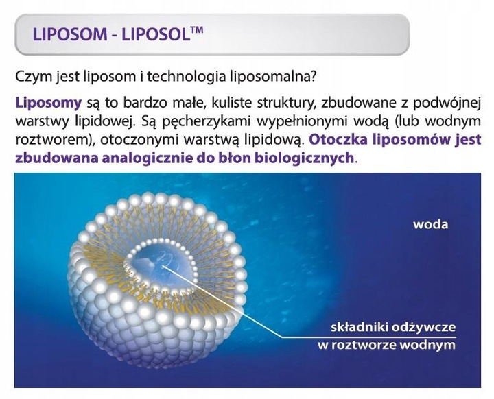 Aliness LIPOSOL LIPOSOMALNA WITAMINA C NA ODORNOŚĆ BUFOROWANA 1000mg 40sasz