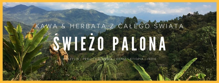 Uszczelki + sitko do kawiarek alu. Bialetti pojemn