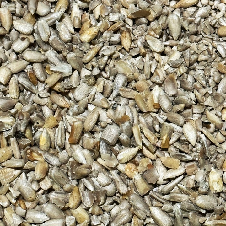 5kg SŁONECZNIK ŁUSKANY 99% ziarno karma zimowa dla ptaków CHAMPI