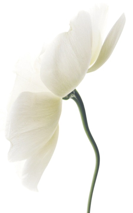 ERIS CLINIC WAY ZESTAW DERMOKAPSUŁKI + ANTI-POLLUTION + KREM BB