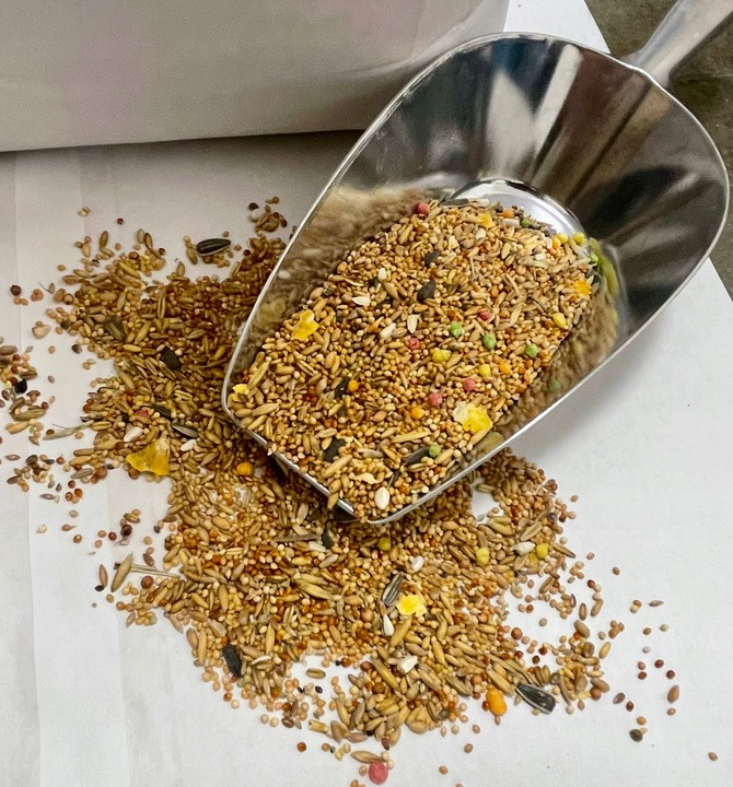 Karma Premium Dla Papug Średnich Nimfa Rudosterka z Słonecznikiem 10 KG